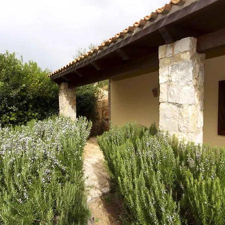 House And Apts In 27113 Apartment