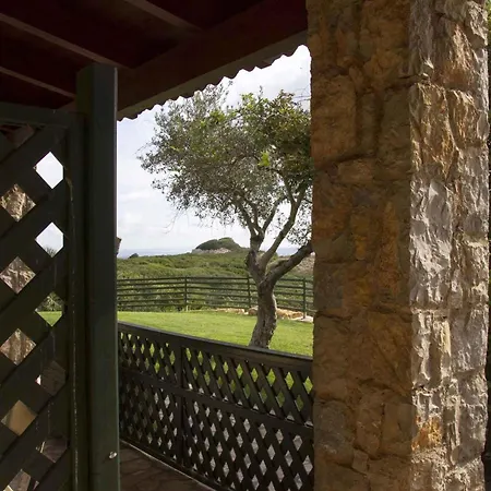 Lejlighed House And Apts In 27113 *